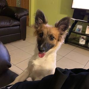 Meet your Posher, Heber a